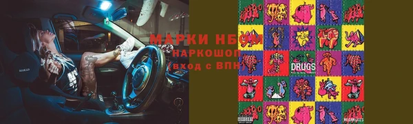индика Аркадак