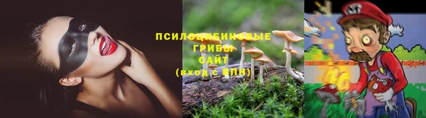 спиды Алексеевка