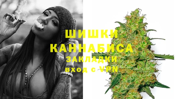 индика Аркадак