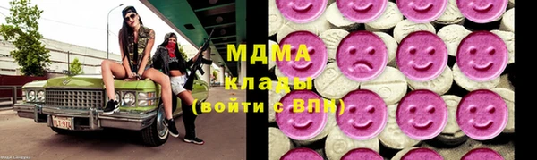 индика Аркадак