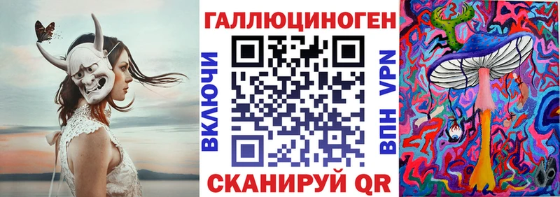 наркота Курган Галлюциногенные грибы мицелий