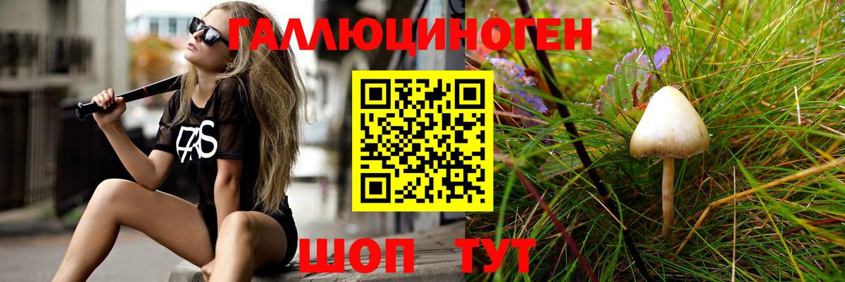 Псилоцибиновые грибы прущие грибы Курган