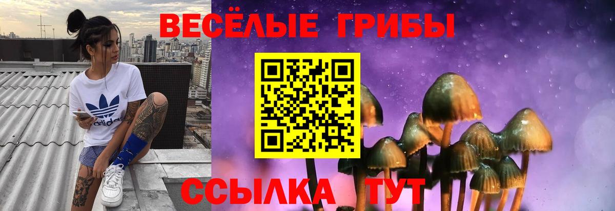 Курган  Псилоцибиновые грибы Psilocybine cubensis  где найти наркотики  Вход с VPN 